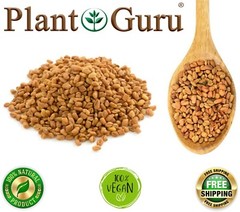 Fenugreek Seeds Whole 2.5 lbs. Jar Bulk Trigonella Foenum Graecum Methi Seed
