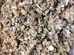 No.23 Herb Mix Osha Lobelia Mull Colts Catnip Raspberry Mint Leaf 1/8 oz sample