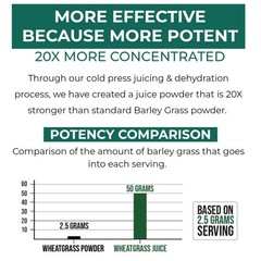 Raw BioActive Organic Wheatgrass Juice Powder – 20:1 Concentrate, 60 Servings