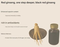 KOREA NO.1 Korean 6 Years Black Red Ginseng Extract Premium 240g x 4EA Saponin
