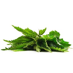 Nettle Leaf Tea Bags (30) Premium Quality, Caffeine-free Herbal Leaf Tea Bags
