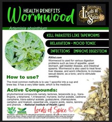 Wormwood Herb Dried Artemisia Absinthium Premium Fast Ship 10g USA!