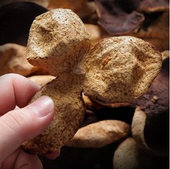 Premium Dried Orange Peel 陈皮 Chen Pi Citri Reticulatae Aged Tangerin 16 oz.