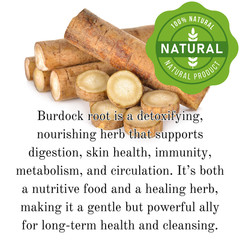 Burdock Root | Pieces or Powder 1 / 4 / 8oz | Natural Detox & Wellness Support