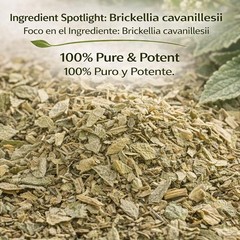 Prodigiosa Herbal Tea – 4 oz (113g) – 100% Natural Mexican Herb – Wildcrafted Br