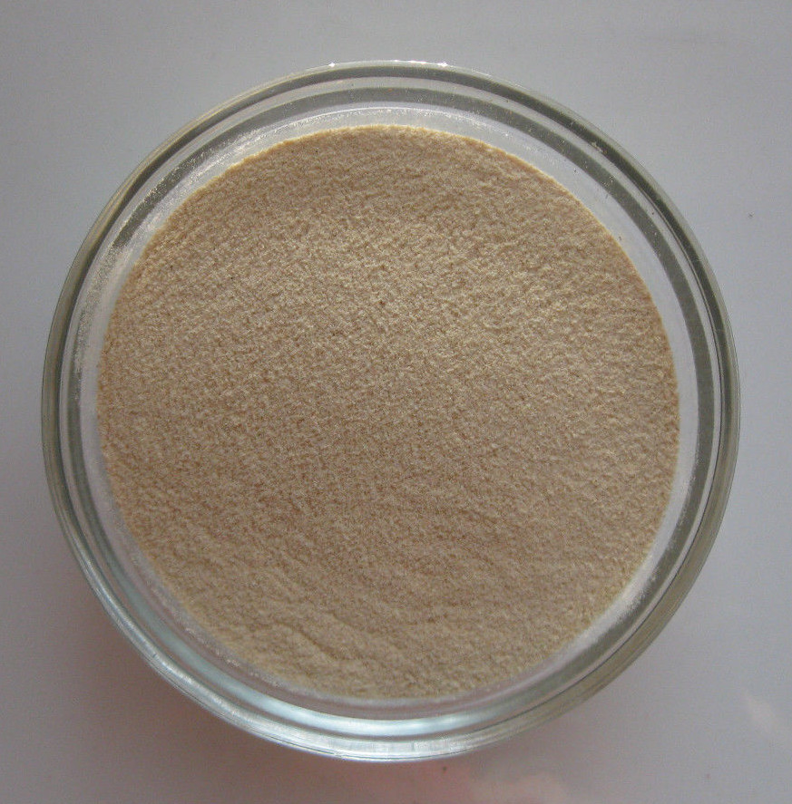 Panax Ginseng Powder 1 oz – The Elder Herb Shoppe – Pure – No Fillers