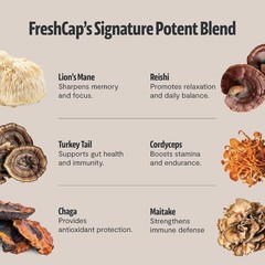 Premium Organic Mushroom Coffee – 12:1 Fruiting Body Extract – 29% Beta-Glucans