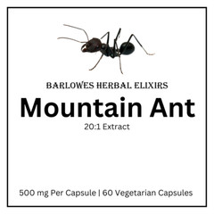 Mountain Ant | 500mg | 20:1 Extract | 500mg | Stearate Free | 60 Veggie Capsules