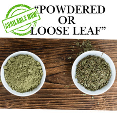Horehound Herb or Powder 1/4/8oz – Natural Lung & Throat Support