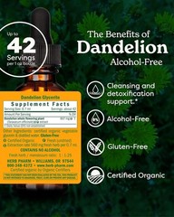 1 Fl Oz Certified Organic Dandelion Extract – Detoxifying Alcohol-Free Glycerite