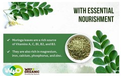 Moringa Tea Leaves 8oz Fresh Dried Loose Leaf Antioxidant – (2 Pack)
