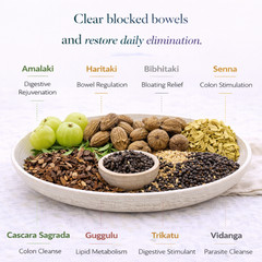 Colon Formula for overweight persons (kapha Version)