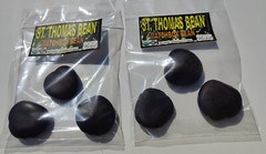 3 St Thomas Bean, box bean (Entada phaseoloides) giant bean, magic bean, seeds o