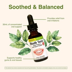 Herbs Etc. Mouth Tonic™ 1 fl oz