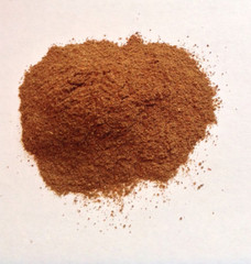 Bloodroot Powder – Appalachian Mountains – Wild Harvest -by NY Spice – FREE SHIP