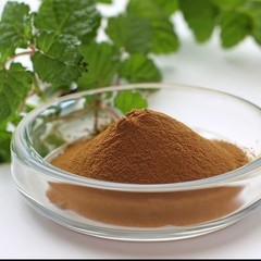 Organic Lemon Balm Extract