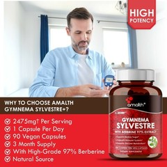 Gymnema Sylvestre Extract Plus 12 Premium Herbs Blood Sugar 2025mg 90 Capsules
