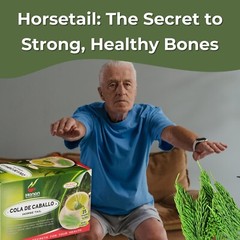 Horsetail Tea Hojas de Cola de Caballo 50 Teabags Premium Dried Herb from Peru
