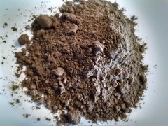 Noni Fruit Powder (Morinda citrifolia) Organic 1 oz.