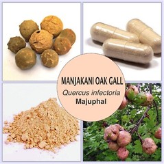 1 Lb /454 gram POWDER Manjakani Oak Gall Quercus Infectoria Organic Wild Crafted