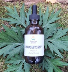 Mugwort Tincture, Herbal Extract, Double Extract, Dream Herbs, Relax, Digestion