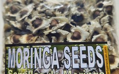 Semillas de Moringa, Moringa Seeds, Moringa oleifera Seeds, Organic moringa Seed