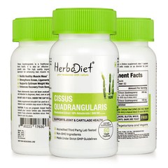 Cissus Quadrangularis Extract Capsules 25:1 Bone Strength Joint Supplement