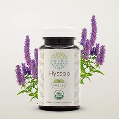 HerbEra Hyssop 60/120 Capsules, 500 mg, Organic (Hyssopus officinalis)