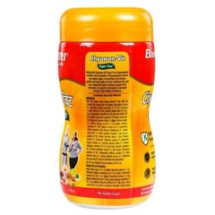 Baidyanath Sugarfree Chyawan Vit 1kgm f627