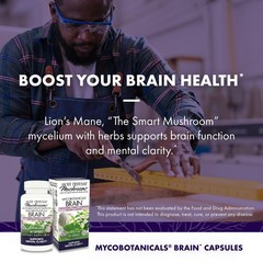 Host Defense MycoBotanicals Brain* Capsules – Brain 60 Count (Pack of 1)