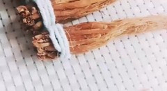 Korean Red Ginseng Root Dried-RED PANAX-Ships from USA Premium Grade 28g./ 1 oz
