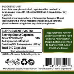 240 x PILLS ANDROGRAPHIS EXTRACT NATURAL IMMUNE SYSTEM DEFENSE SUPPORT CAPSULES