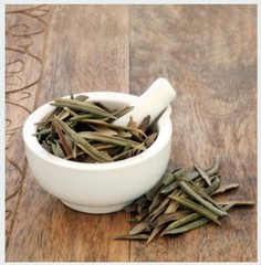 Olive Leaf Whole/Powder | Pure Natural Herb | Immune & Heart Support 1/4/ 8oz