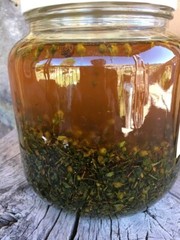 Organic Chaparral Leaf – Gobernadora – Bulk -Larrea tridentata – Creosote Bush