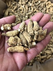 1 Box 7 years American Wisconsin Ginseng 7年珍珠泡参(礼品1盒装)正宗美国威州半野生花旗参-U.S Seller