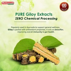 Baidyanath Giloy Satwa 50 gm / 1.76 oz Ayurvedic Herbal Powder For Immunity