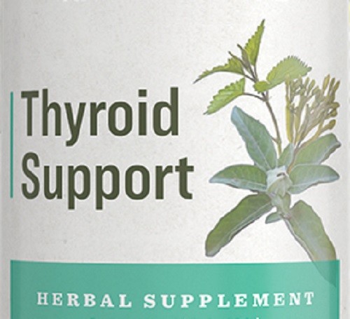 THYROID SUPPORT – Nutrient Rich Herbal Tonic Endocrine System Support Blend USA