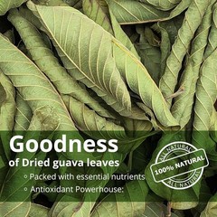 Guava Leaves Tea, Hojas De Guayaba, 100%Natural Fresh Te, Psidium Guajava 2.6 Oz