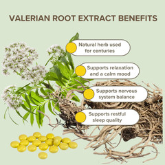 Valerian Root Extract 5 bottles x 50 Coated Tablets (20mg) Экстракт Валерианы