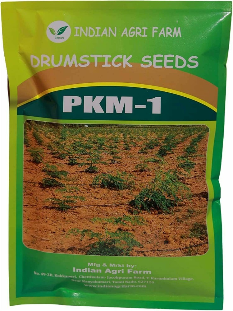 PKM1 Moringa / Drumstick Seeds for Cultivation 250gm Approx 700 seeds