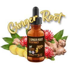 Ginger Root Extract Liquid Drops – Ginger Tincture – USA Made