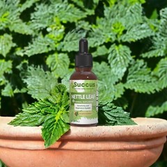 Nettle Leaf Tincture – Herbal Extract – Liquid Drop