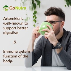 Artemisia Powder 8 oz | Sweet Wormwood Powder | Artemisia Annua | Non-Gmo