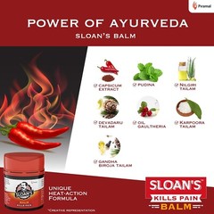 2 x Ayurvedic Balm For Neck Back Knee Muscular Pain 20 gm FREESHIP WORLDWIDE