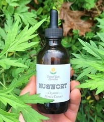 Mugwort Tincture, Herbal Extract, Double Extract, Dream Herbs, Relax, Digestion