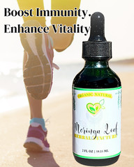Moringa Tincture Natural Liquid Drops | Superfood for Energy & Wellness 2oz