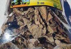 Guarumo Hierba Te, guarumbo, yagrumo, yarumo, Chancarro, Cecropia peltata !!