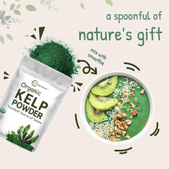 Organic Kelp Powder, 2Lbs | Sustainably US Grown, Raw Ascophyllum Nodosum Source