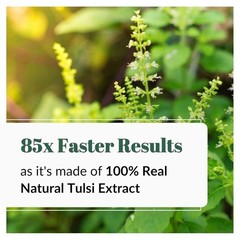 Nature Code Tulsi Capsules, 60 Capsules M320