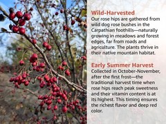 Dried Rose Hips – Whole Rosa Canina Berries – Herbal Tea – Natural